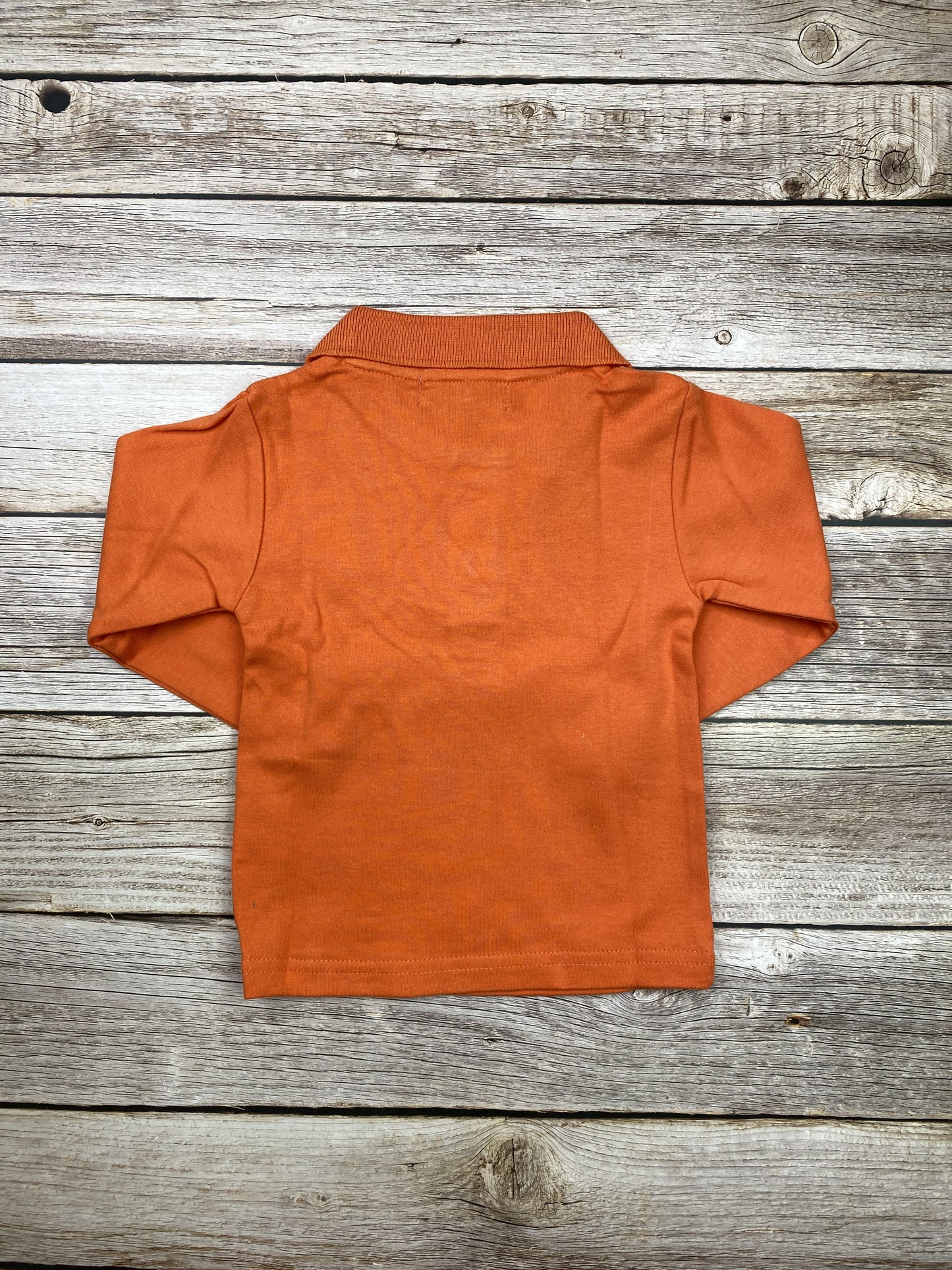 Polo manica lunga