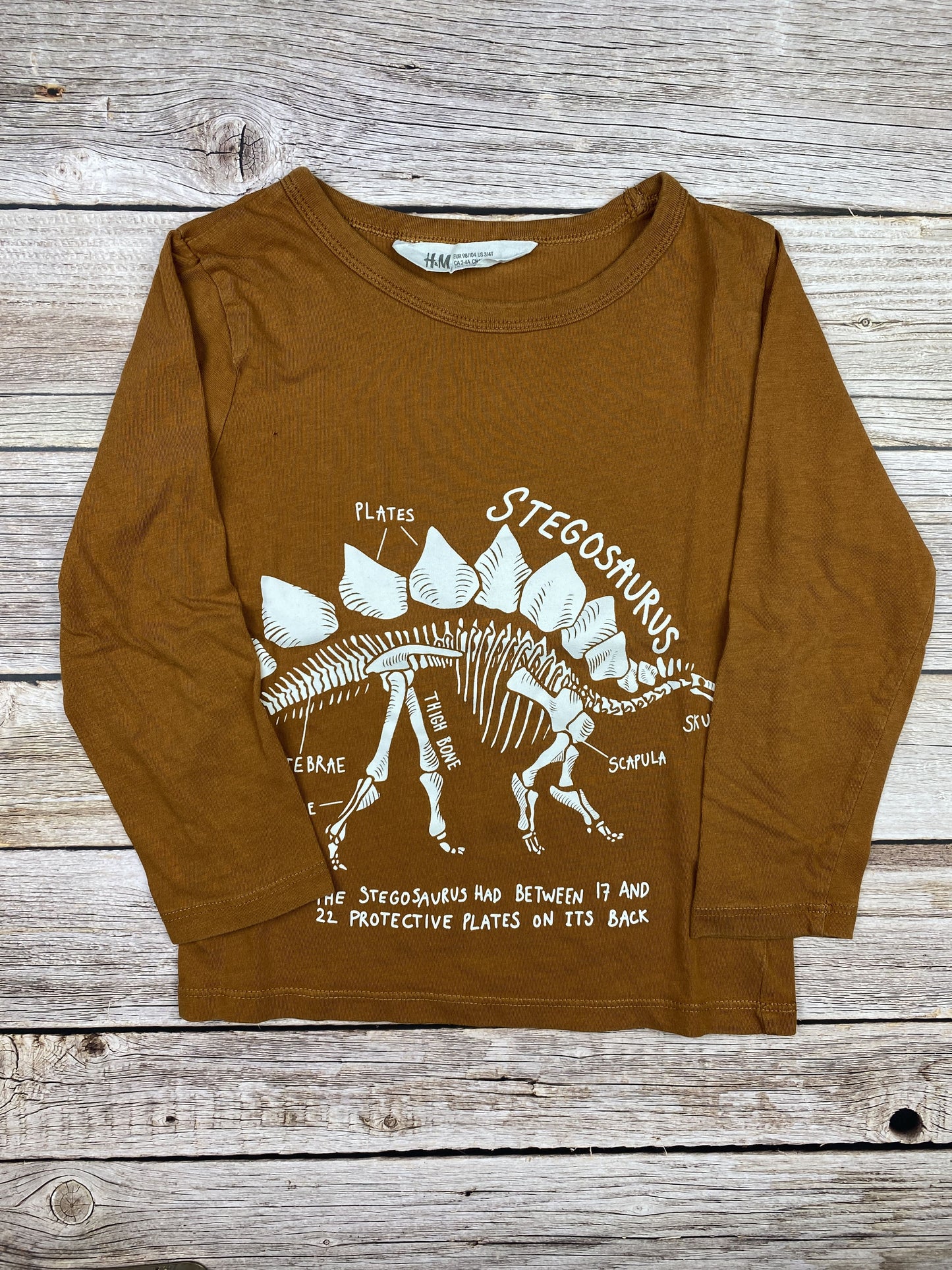 T-shirt manica lunga