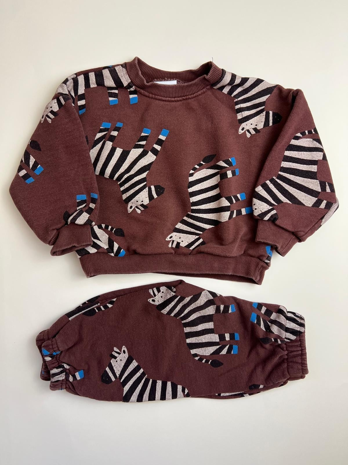 Set Felpa e Pantaloni Bambino con Stampa Zebra