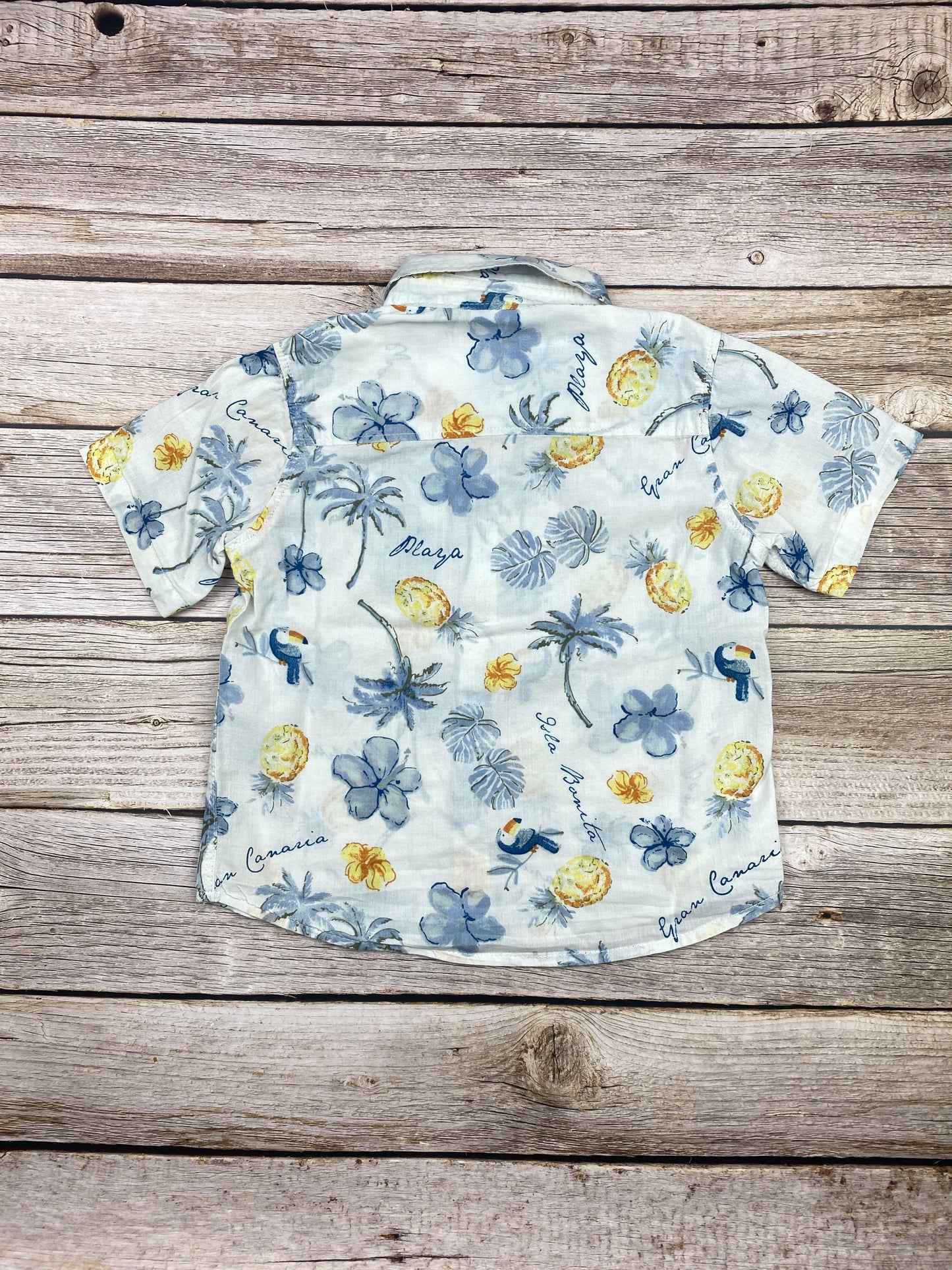 Camicia manica corta