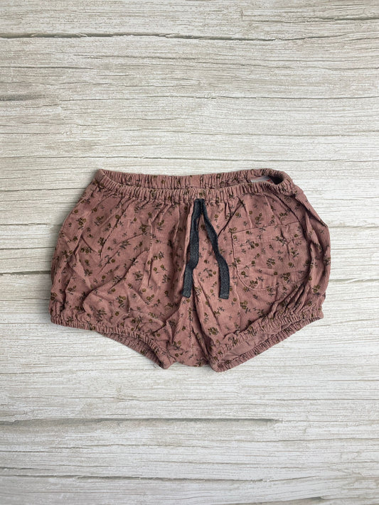 Culotte