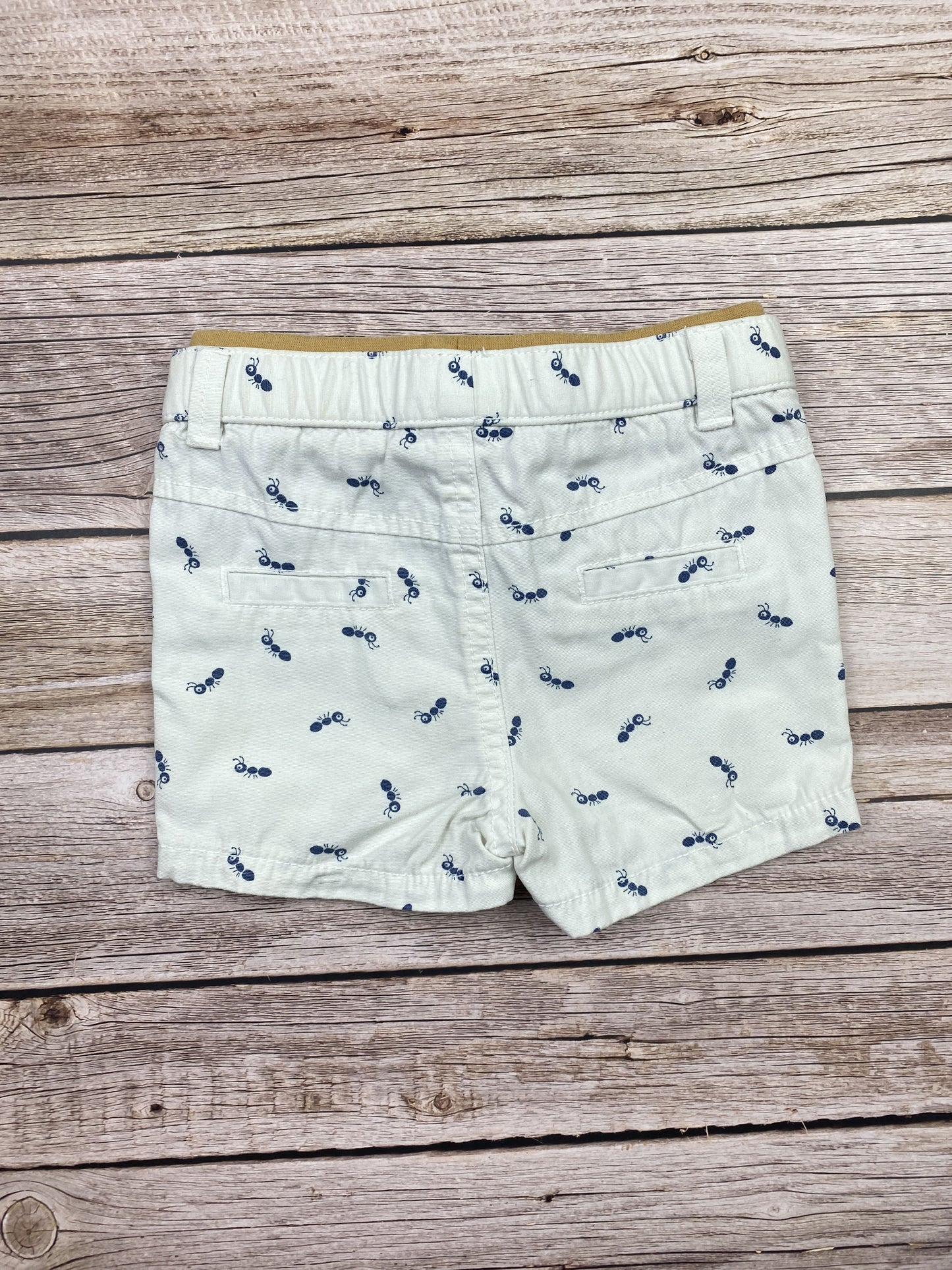 Pantaloncino in tela di cotone