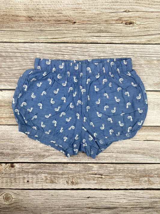 Pantaloncino