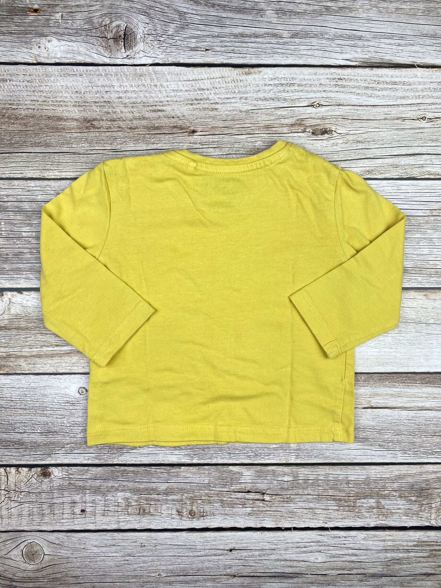T-shirt manica lunga