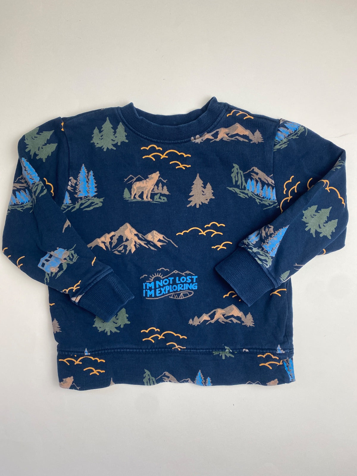Felpa Bambino Blu con Stampa Montagne e Lupo