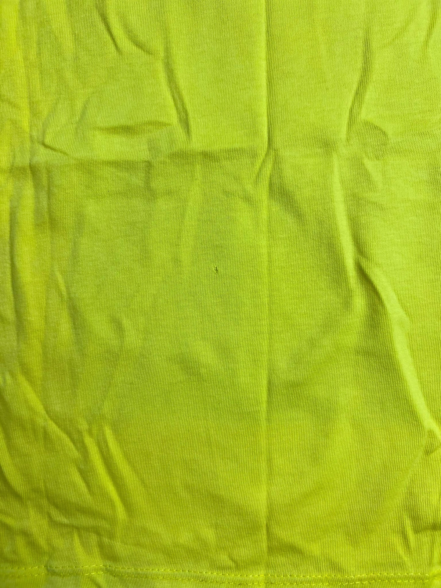 T-shirt Gialla con Stampa Dinosauro