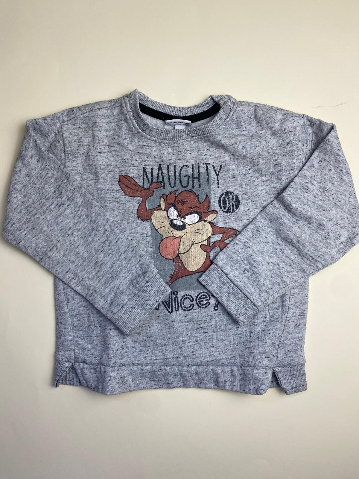 Felpa Bambino Taz Looney Tunes Grigia