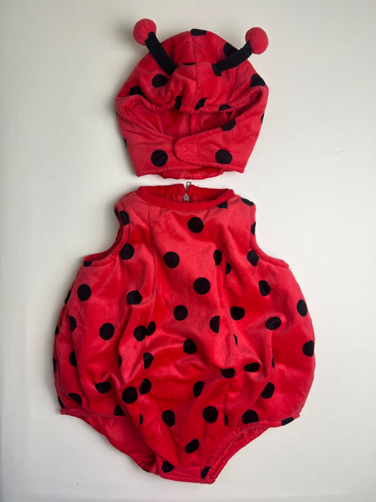 Costume carnevale da coccinella